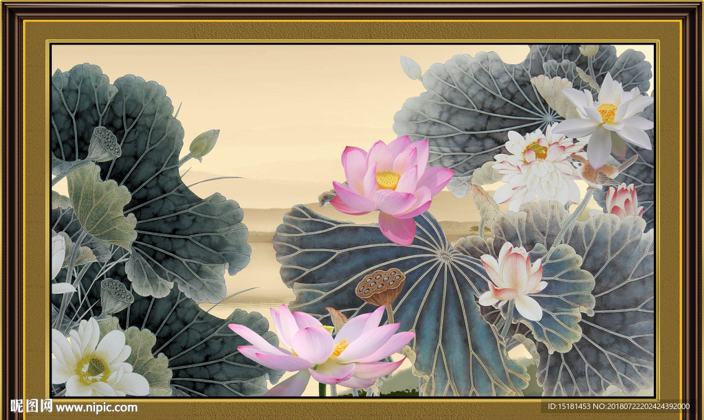 荷花图