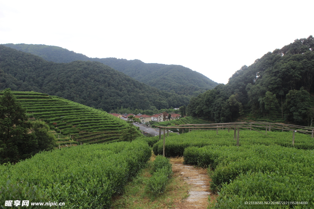 梅家坞