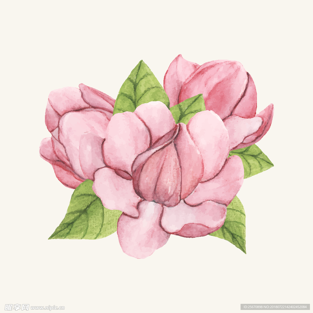 矢量花卉