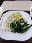 吃饭 快餐 吃快餐 饭 白色碟