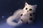 猫咪图片
