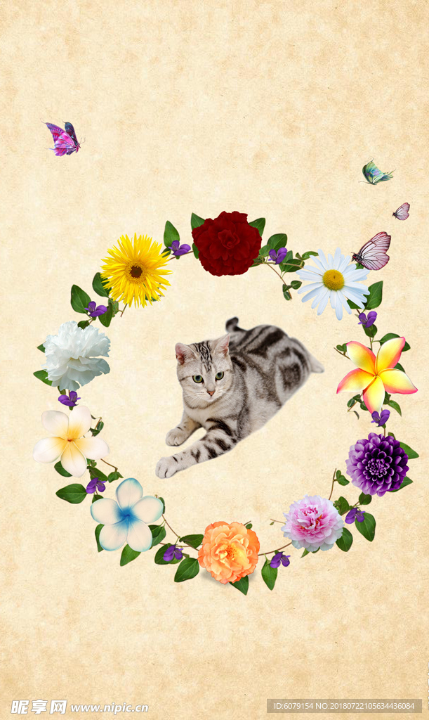 小猫与彩色花环