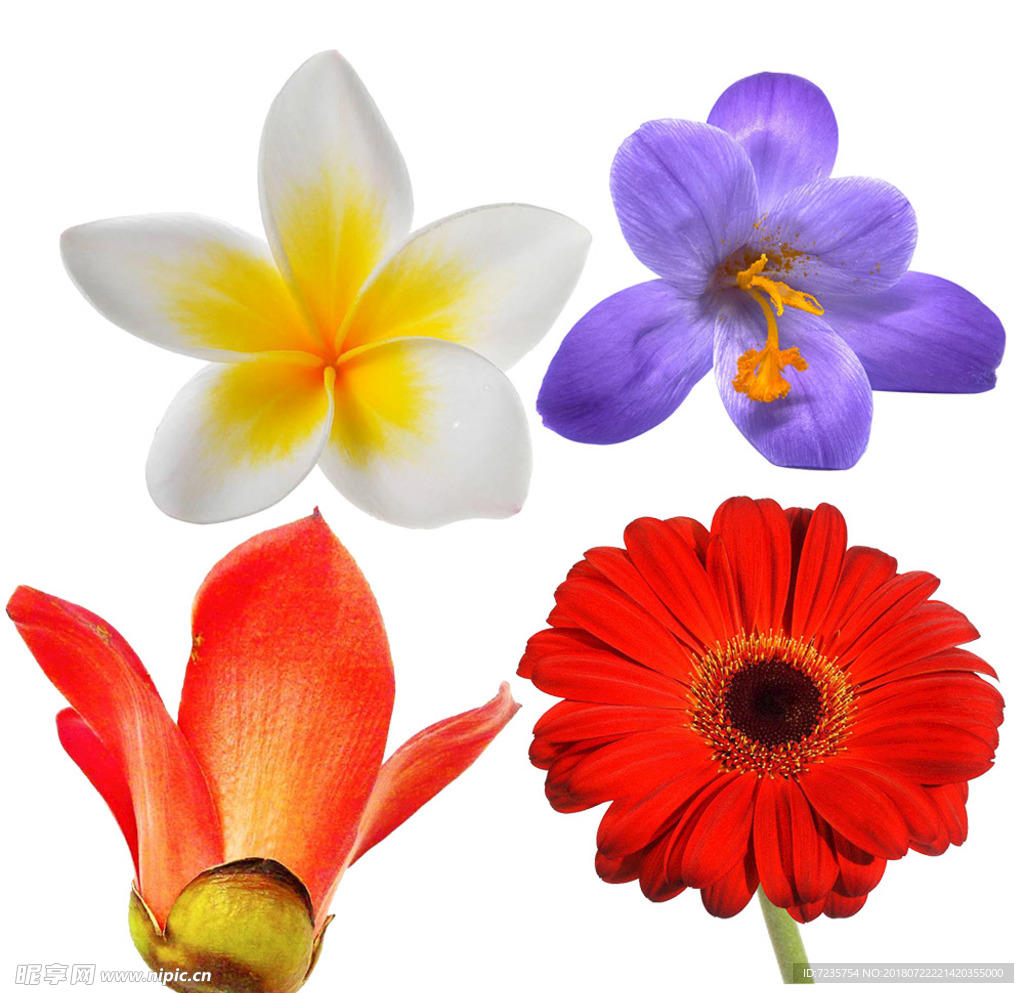 花抠图