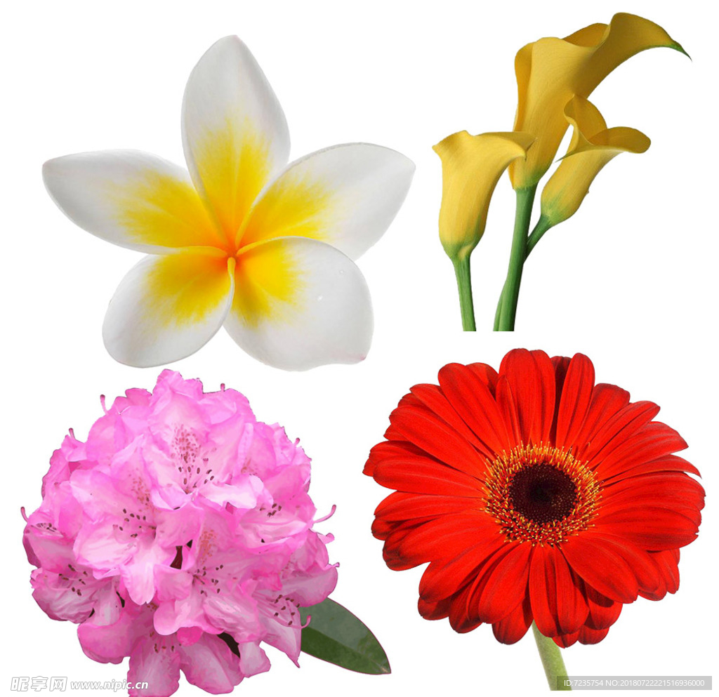 花抠图