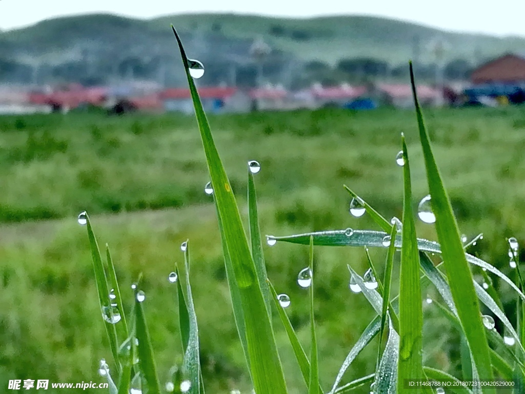 雨露均沾