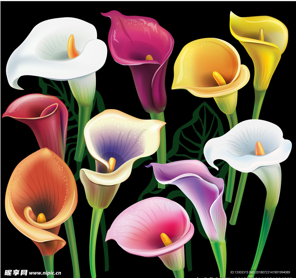 无缝图案与水彩粉红色马蹄莲花在白色的背景插画图片素材_ID:315686837-Veer图库