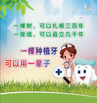 一棵种植牙  可以用一辈子