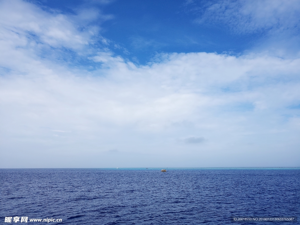 海