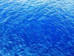 海