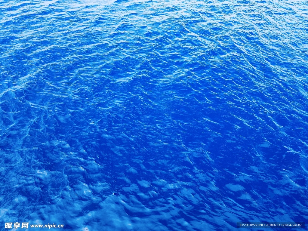 海