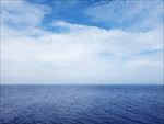 海