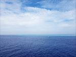 海