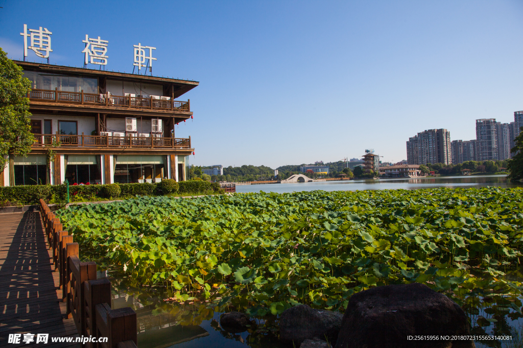 长沙月湖公园