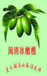 冰橄榄