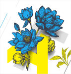 花朵图片