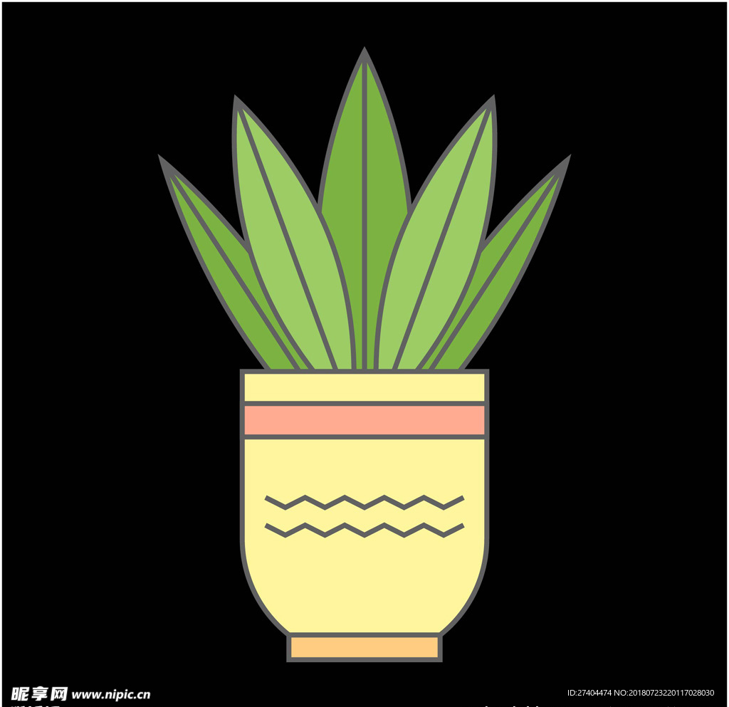 绿植图片