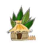 绿植图片