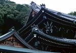 日本古建筑