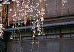 日本古建筑
