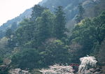 日本古建筑