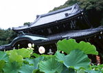 日本古建筑