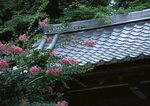 日本古建筑