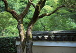 日本古建筑