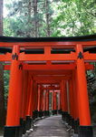日本古建筑 建筑 风景 房屋