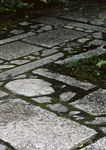 日本古建筑