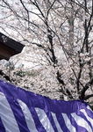 日本古建筑