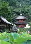 日本古建筑