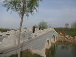 汶上县 湿地公园 风景