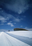 蓝天白云下的雪地风景