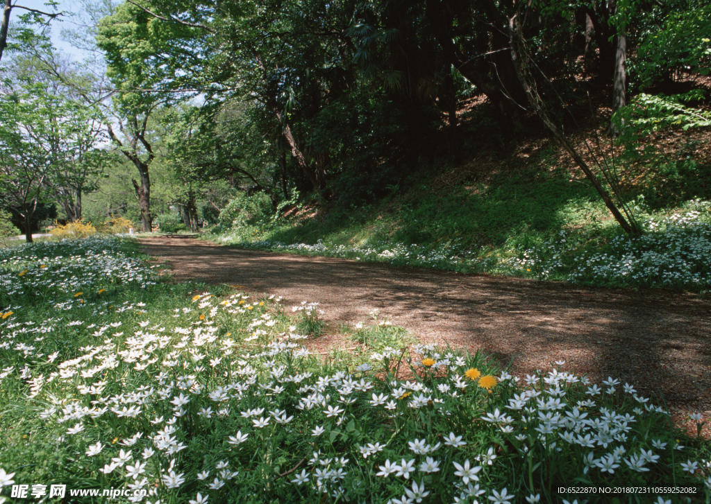 道路风景 风景摄影