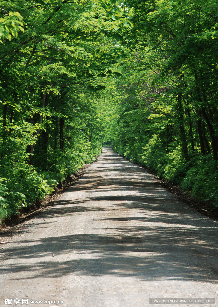 道路风景 道路交通