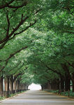 道路风景 道路美景