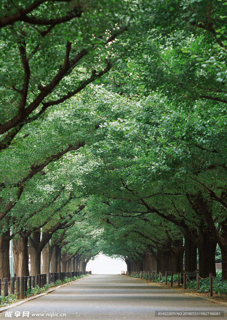 道路风景 道路美景