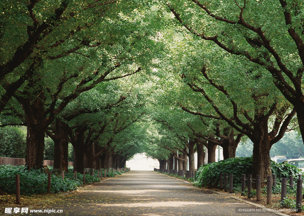 道路风景 道路美景