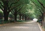 道路风景 道路美景