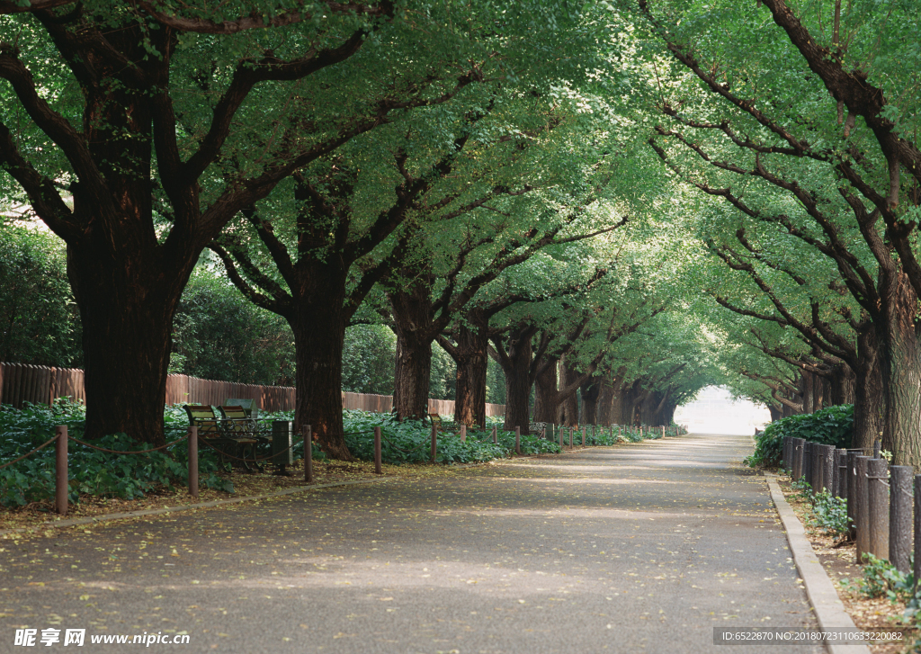 道路风景 道路美景