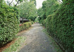 道路风景 风光摄影
