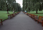 公园道路 公园风景