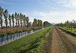 乡间公路 农村道路