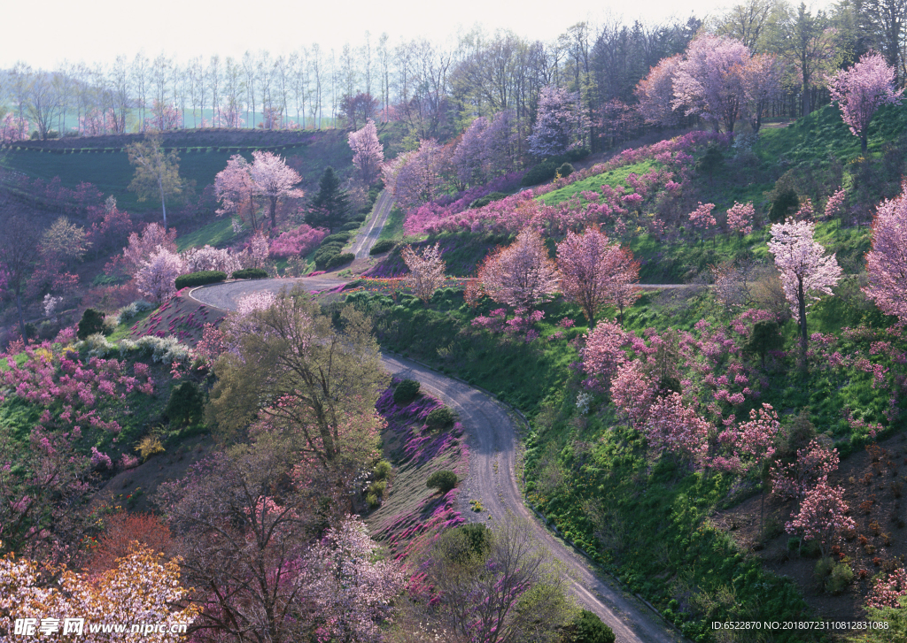 公路 道路