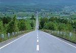 田园风光 道路交通 公路美景