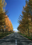 公路风景 道路交通