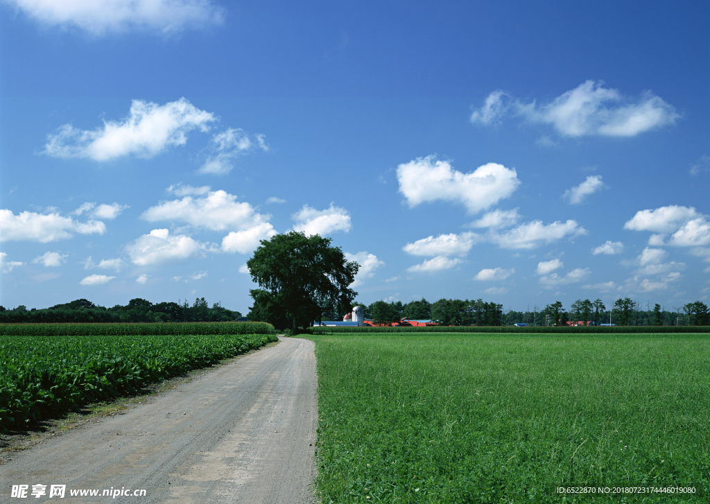 农村风景 农村道路