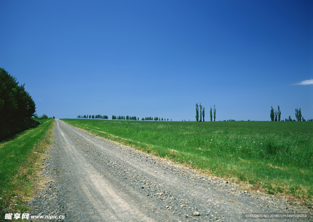 公路 道路 蓝天 草地