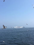 海上风景