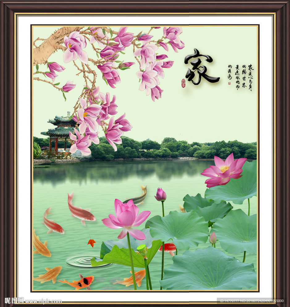 荷花风景